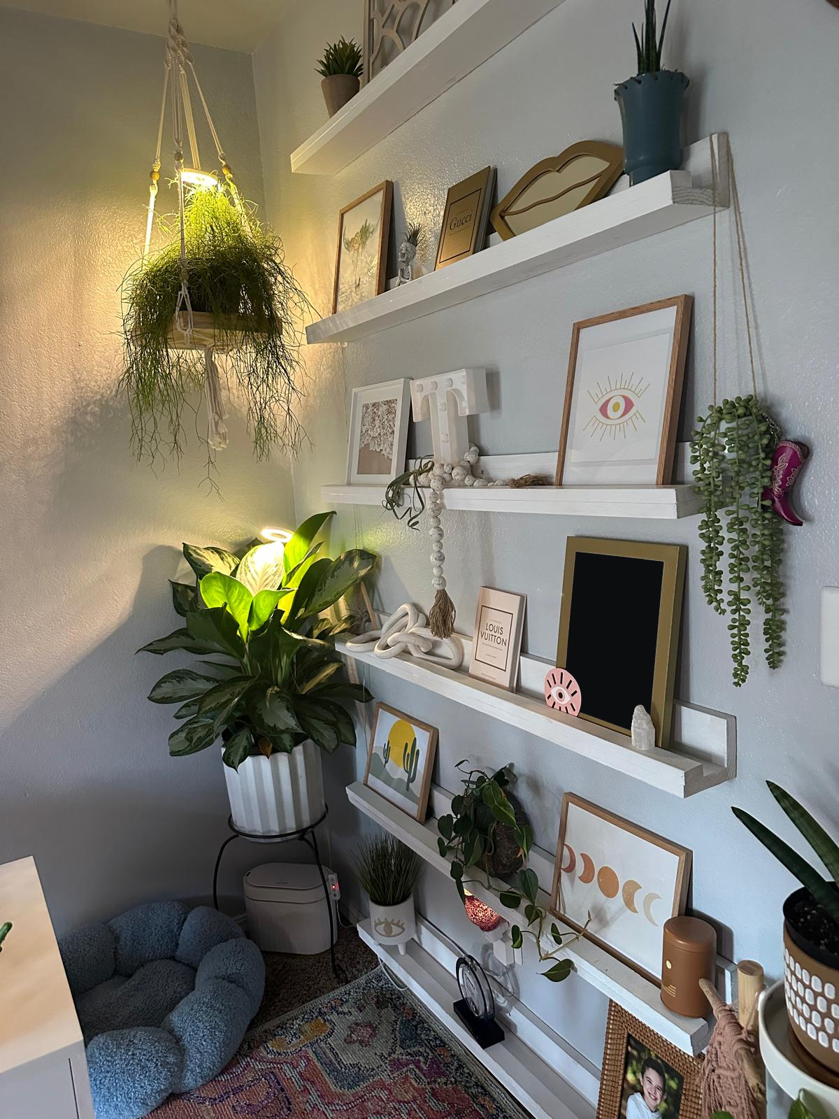 Professional Cleaning Services